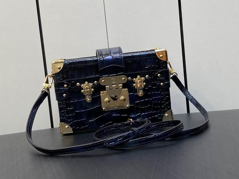 LV Handbags 47